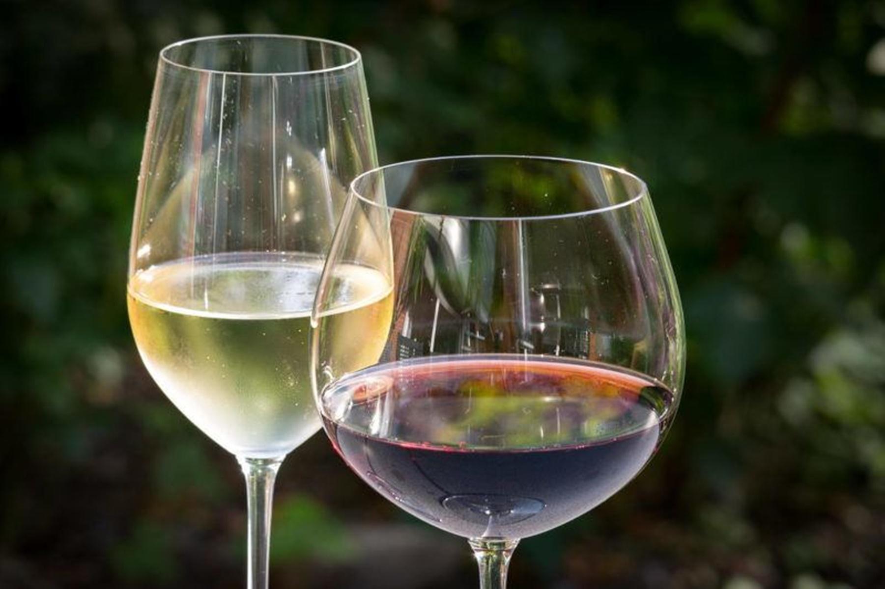 Mostra dei Vini Triveneti 